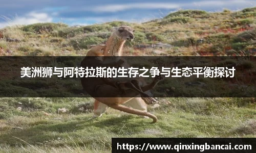 必威西汉姆官网