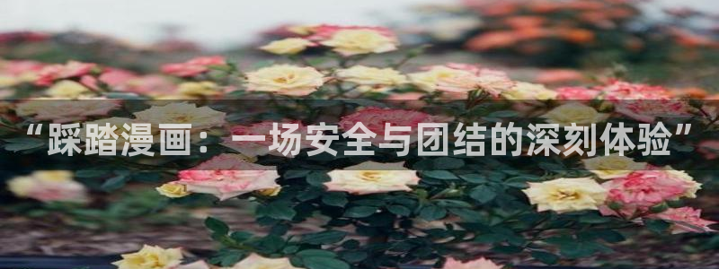 漫蛙漫
