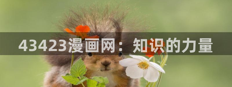 漫蛙正版软件