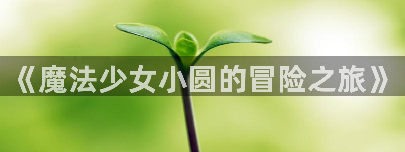 漫蛙2网页版
