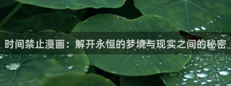 漫蛙manwa2漫画官网