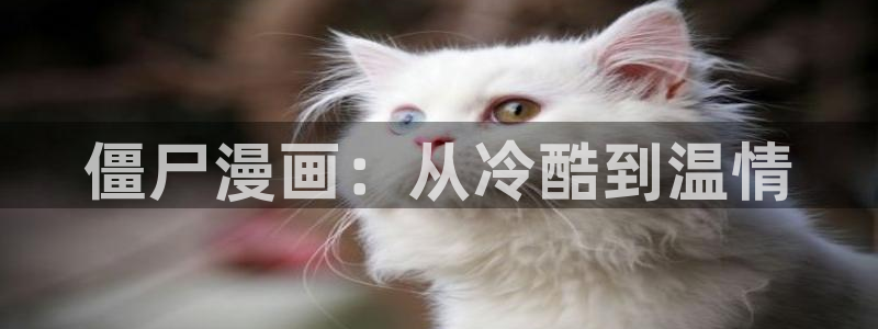 漫蛙网址.