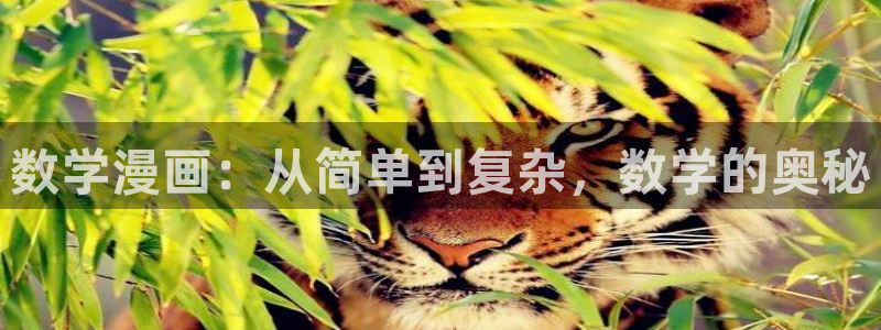 漫蛙1.18
