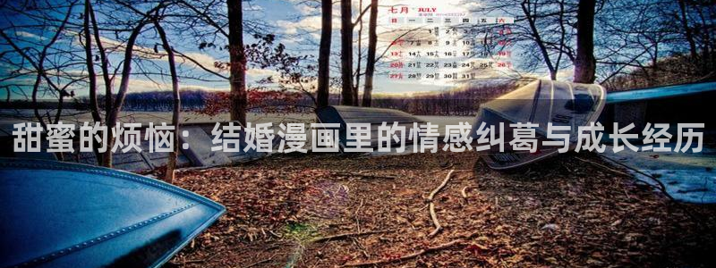漫蛙2无广告